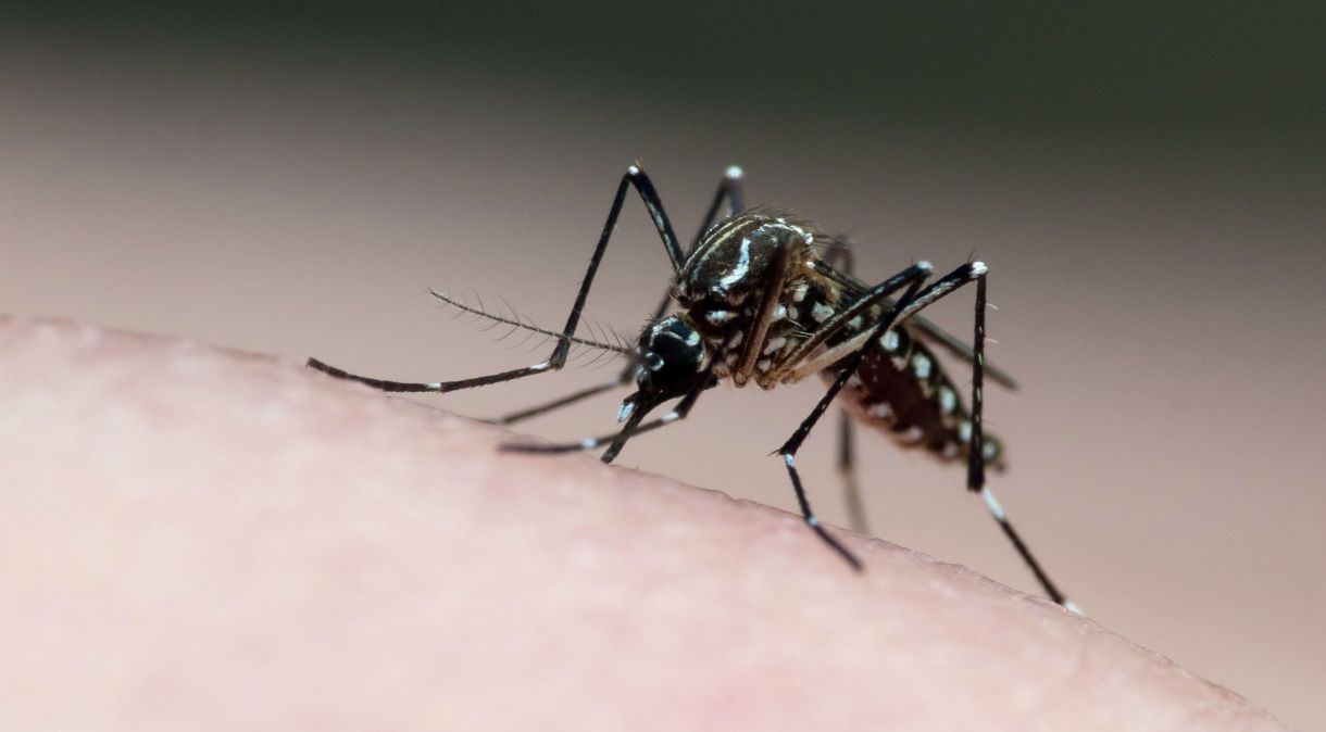 Rio de Janeiro confirma sexta morte por dengue em 2024