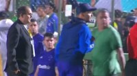 Técnico do Cruzeiro é atacado por formigas em jogo da Copa do Brasil, relata jornalista