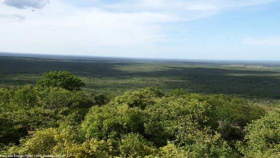 Visão panorâmica do Parna da Furna Feia