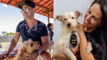 Cantor sertanejo se sensibilizou com história de cães resgatados e resolveu adotar quatro deles 