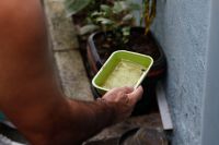 Brasil ultrapassa 600 mortes por dengue e se aproxima de 2 milhões de casos confirmados