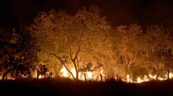 Dados do Inpe mostram aumento expressivo de queimadas em quase todos os biomas, em comparação com 2023