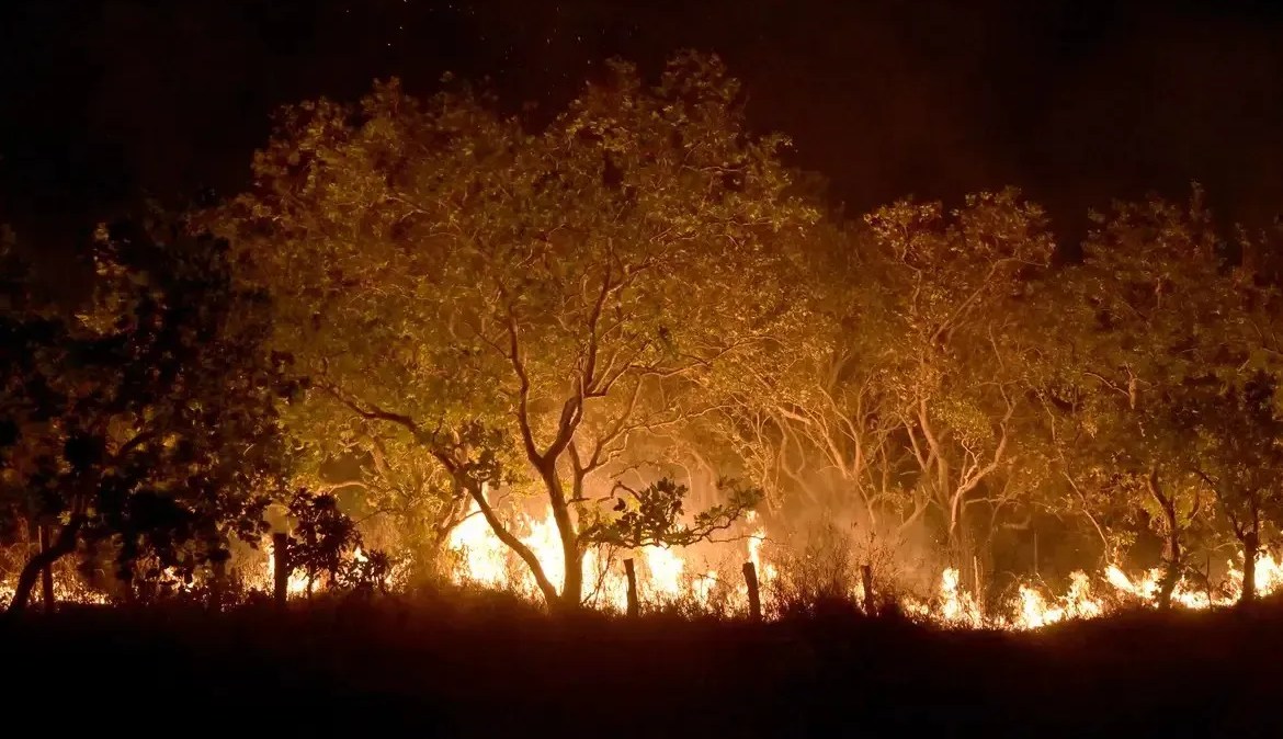 Roraima, especificamente, já registrou 1 milhão de hectares queimados em 2024, o que representa 54% de toda a área afetada no Brasil
