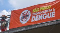 Brasil se aproxima de 500 mortes por dengue em 2024