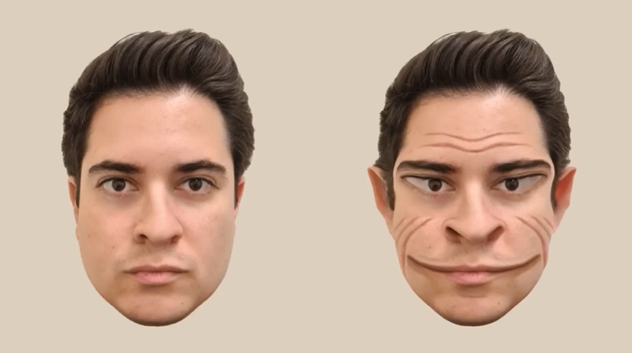 Representação artística de uma distorção facial