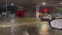 Chuva causa dezenas de pontos de alagamentos em SP; região central tem acumulado de mais de 95 mm