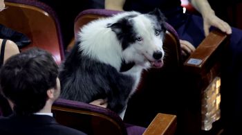 O cão roubou a cena nas temporadas de premiações do cinema e chegou a "bater palmas" durante o Oscar 2024