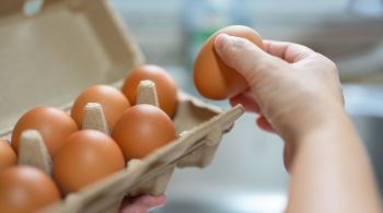 Por muito tempo, o ovo foi associado ao aumento do colesterol no sangue; especialistas explicam se essa e outras afirmações são verdadeiras