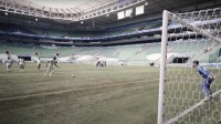 Palmeiras marca treino no Allianz antes de semifinal no Paulista