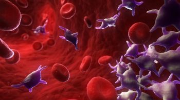 Essas células são fundamentais no processo de coagulação no sangue e níveis baixos estão associados a um maior risco de hemorragias