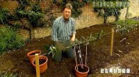 TV norte-coreana censura jeans de apresentador de programa de jardinagem britânico