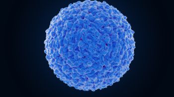 Pesquisadores identificaram fatores chave para o desenvolvimento de imunidade duradoura; resultados podem orientar busca por novas vacinas e terapias antivirais