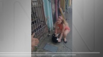 Agressão ao animal foi filmada e causou revolta nas redes sociais; Polícia Civil investiga o caso
