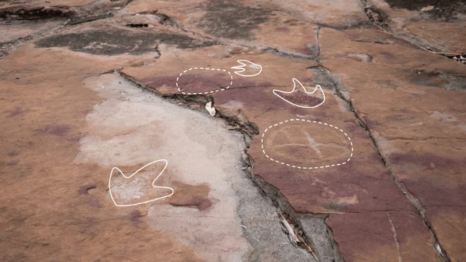 Uma linha tracejada indica pinturas rupestres feitas por povos indígenas, enquanto uma linha contínua mostra pegadas de dinossauros terópodes