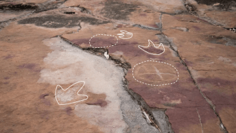 Formas geométricas misteriosas foram encontradas no sítio Serrote do Letreiro, na Paraíba; as pegadas pertencem a répteis do Período Cretáceo, encerrado há 66 milhões de anos