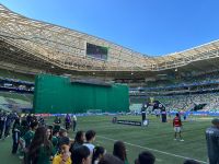 Show de Soweto reduz capacidade do Allianz Parque para Palmeiras x Flamengo