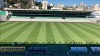 Grêmio x Bahia: horário e onde assistir ao jogo do Brasileirão