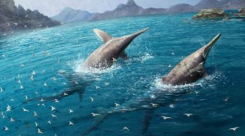 Pesquisadores acreditam que a criatura, chamada Ichthyotitan severnensis, tinha mais de 25 metros de comprimento