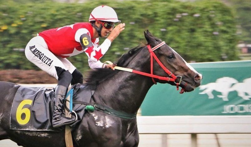 Vídeo: Jóquei sofre acidente durante corrida de cavalo e é internado no Rio de Janeiro