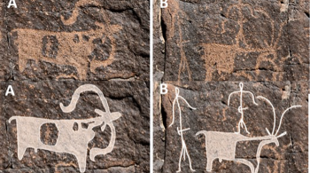 Localizados na região de Umm Jirsan, na Arábia Saudita, os restos de animais e as pinturas rupestres revelam mais sobre os costumes dos povos pré-históricos da região