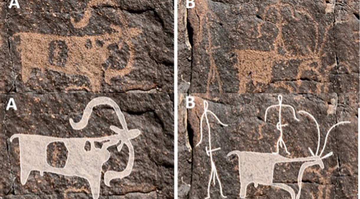 Pinturas rupestres encontradas na escavação
