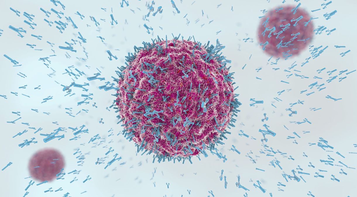 O sistema imunológico é conhecido pela sua ação na defesa contra microrganismos como vírus e bactérias, mas seu papel no corpo humano vai além disso