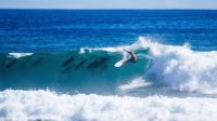 Vídeo: surfista é acompanhada por golfinhos em onda que rendeu título de etapa mundial