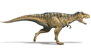 Pesquisadores examinaram espaços preservados dentro dos ossos de dinossauros que habitaram o noroeste da Argentina há mais de 200 milhões de anos