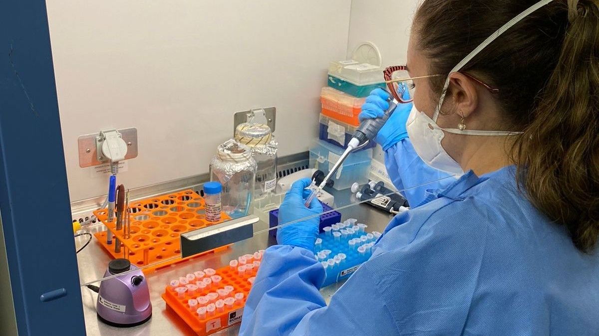 As vacinas de DNA tendem a ser mais baratas e potencialmente mais eficientes do que as feitas com vírus inativado ou atenuado