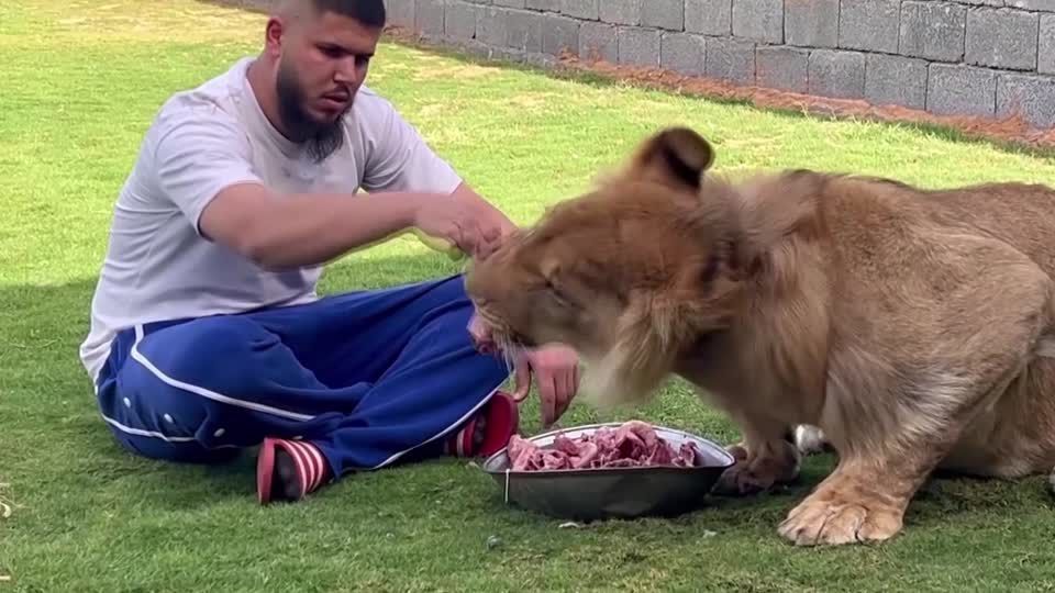 Líbio cria animais predadores em casa como animais de estimação