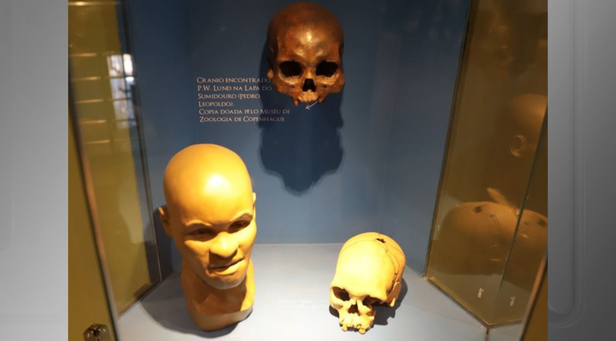 Crânio de Luzia, um dos esqueletos mais antigos das Américas, encontrado em Minas Gerais em 1974