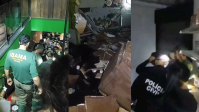 RS: petshop deixou animais morrerem no subsolo e salvou computadores, diz delegada