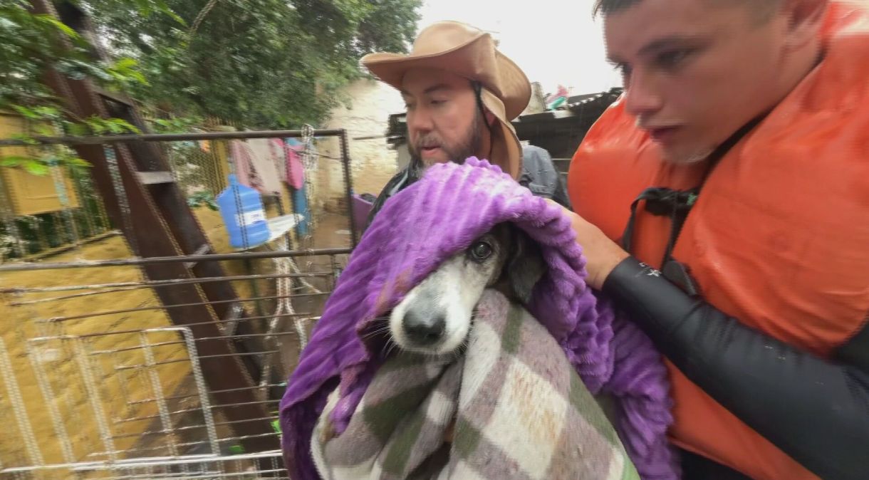 Cachorro é resgatado em casa abandonada no RS