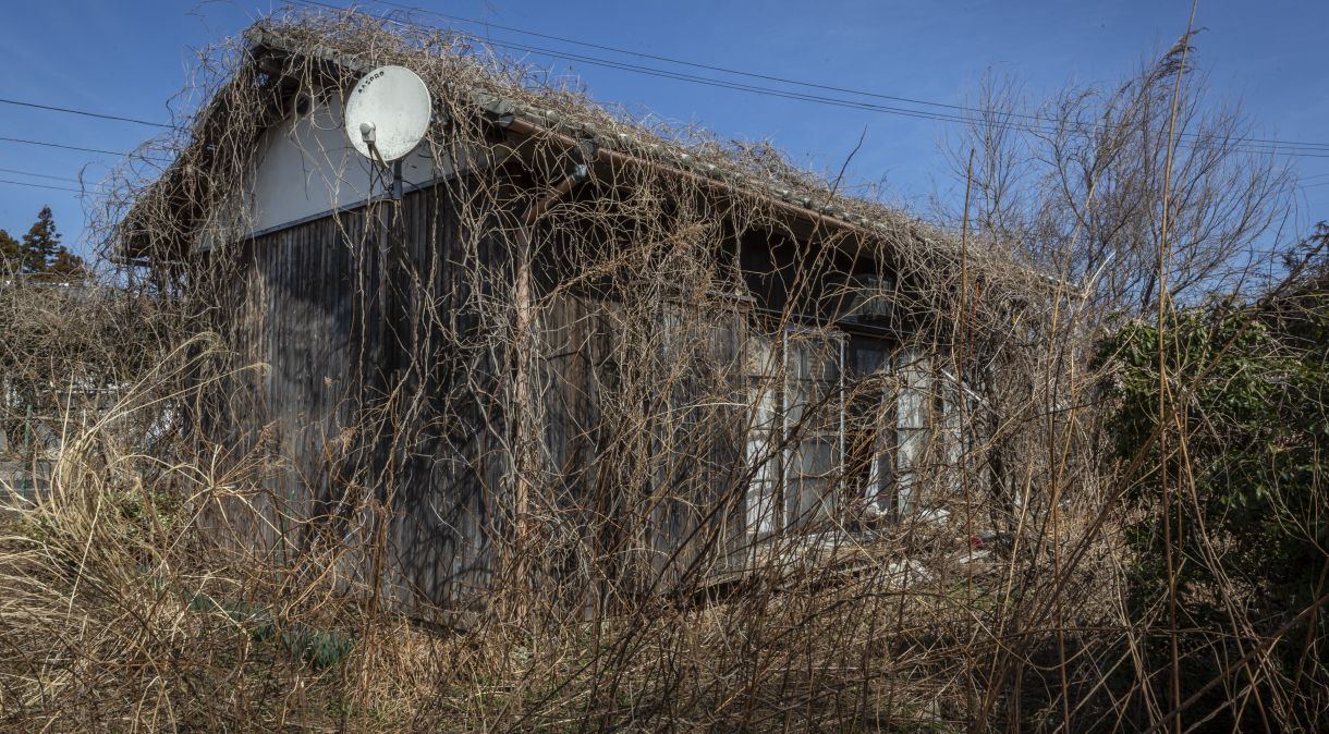 Ervas daninhas e videiras crescem ao redor de uma casa abandonada em 09 de março de 2021 em Okuma, Japão.