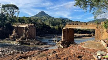 Vegetação nativa e de alimentos pode contribuir para prevenir eventos como o do Rio Grande do Sul