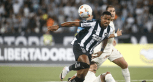 Botafogo defende série histórica diante do Universitario; saiba mais