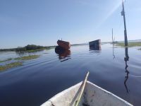 MST fala em perdas “milionárias” com cheias em assentamentos do Rio Grande do Sul