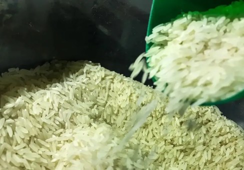 Brasil compra 263 mil toneladas de arroz importado: “Leilão foi um sucesso”, diz ministro à CNN
