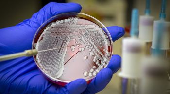 De acordo com a entidade, essas bactérias oferecem ameaça à saúde pública por serem resistentes a antibióticos; veja quais são