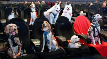 Cinesystem criou o "Cine Pets", que acontece no 3º sábado do mês, e recebe os animais para sessão de filme