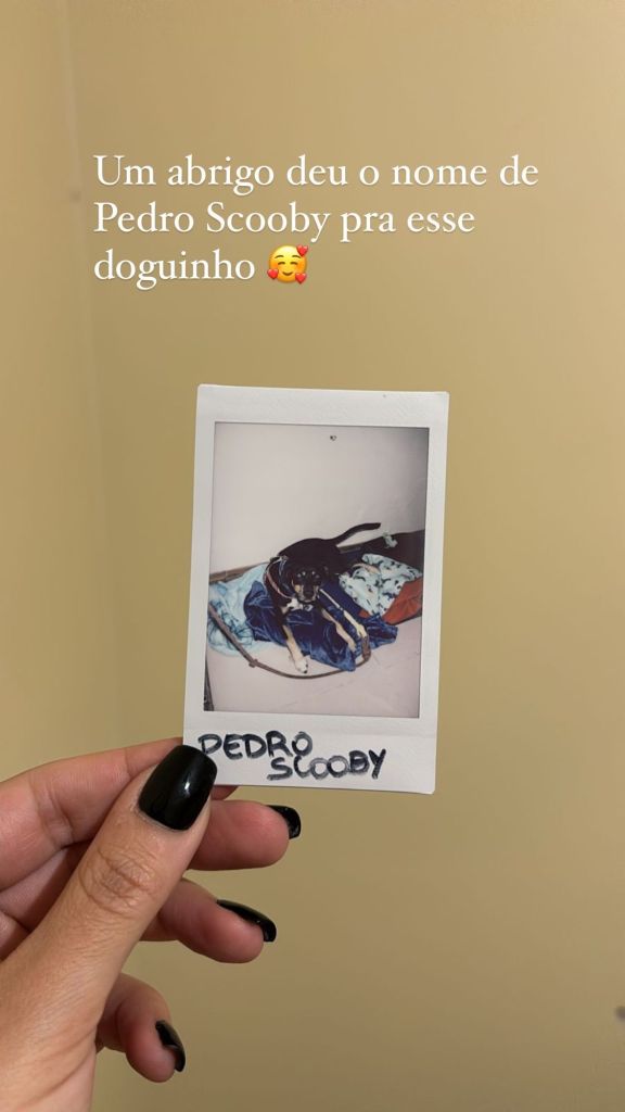 Cachorro resgatado no RS é batizado com o nome de Pedro Scooby