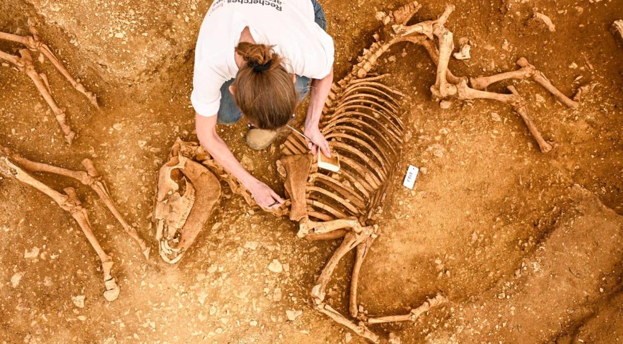 Arqueólogos descobriram sepulturas contendo os restos de cavalos enterrados há cerca de 2 mil anos