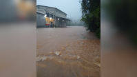 Chuvas no RS: Rio Taquari bate recorde de cheia e supera 30 metros pela primeira vez na história