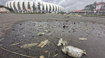 Clube colorado vai iniciar um ciclo de treinamentos no Complexo Esportivo da PUC-RS