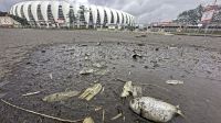 Com peixes e campo destruído, veja situação do Beira-Rio após chuvas no RS