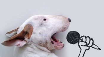 Bull terrier ficou conhecido mundialmente após fotos e ilustrações feitas por seu dono, o publicitário Rafael Mantesso