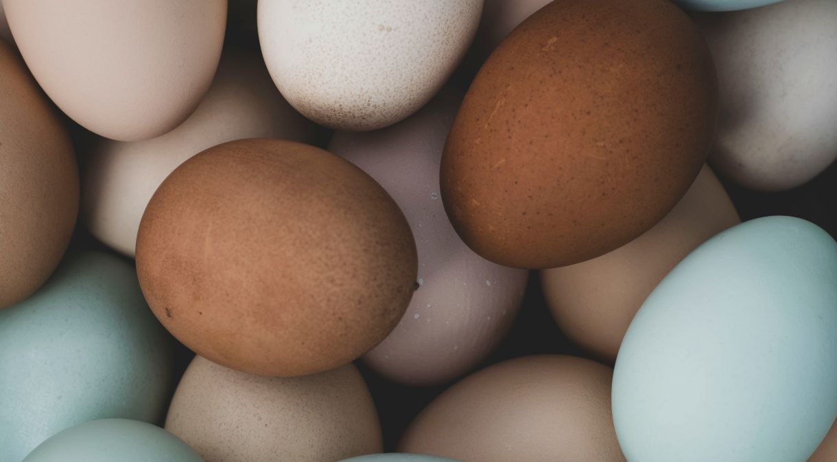 Nos EUA, os ovos marrons podem chegar a custar de 10% a 20% a mais que ovos brancos