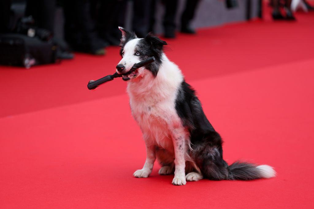 Messi posa no tapete vermelho de Cannes