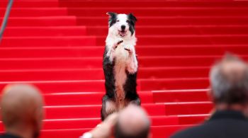 Cão ficou famoso por interpretar Snoop no filme "Anatomia de uma Queda", vencedor do Oscar de Melhor Roteiro Original