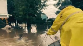 Salvamento foi compartilhado neste domingo pela Brigada Militar do Rio Grande do Sul e repercutiu nas redes sociais